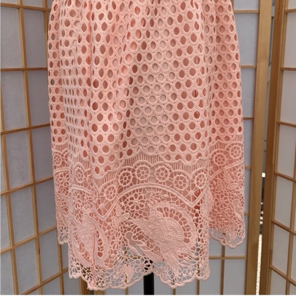 Pink Lace Dress - Picture 4 of 10